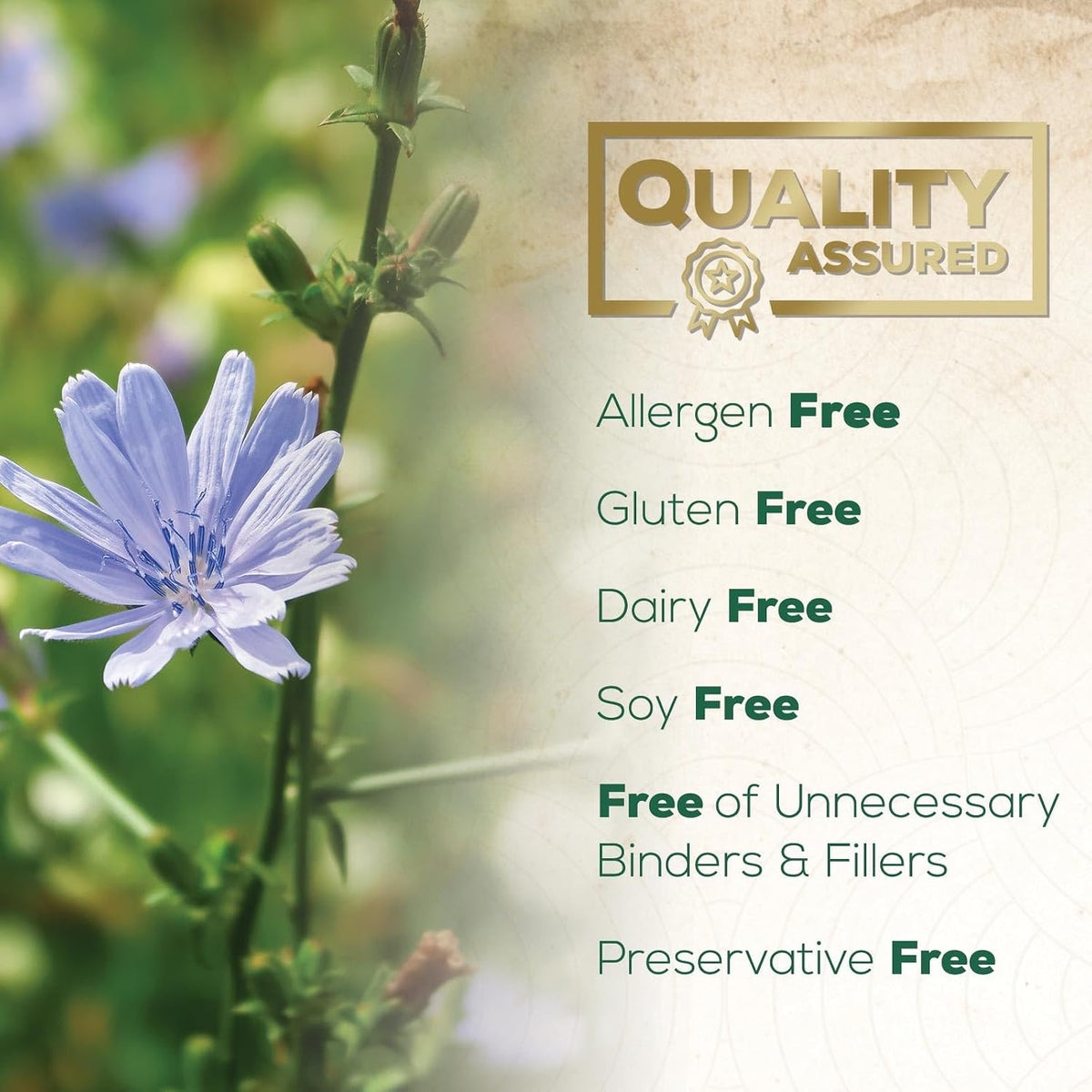 Gut-Skin Balancer™ – Advanced Probiotic for Microbiome & Clarity