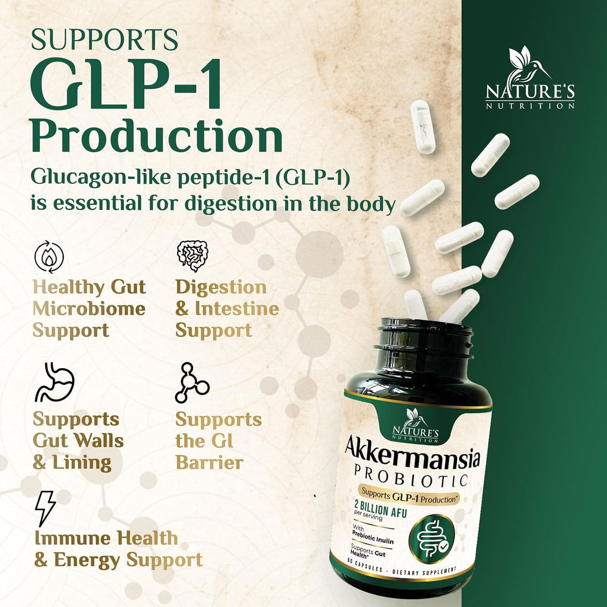 Gut-Skin Balancer™ – Advanced Probiotic for Microbiome & Clarity